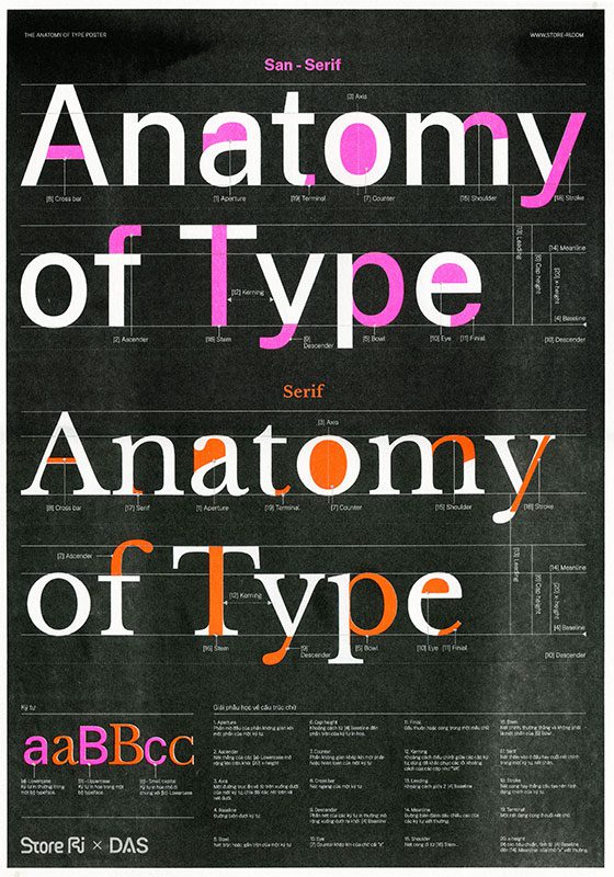 Poster Anatomy of Type